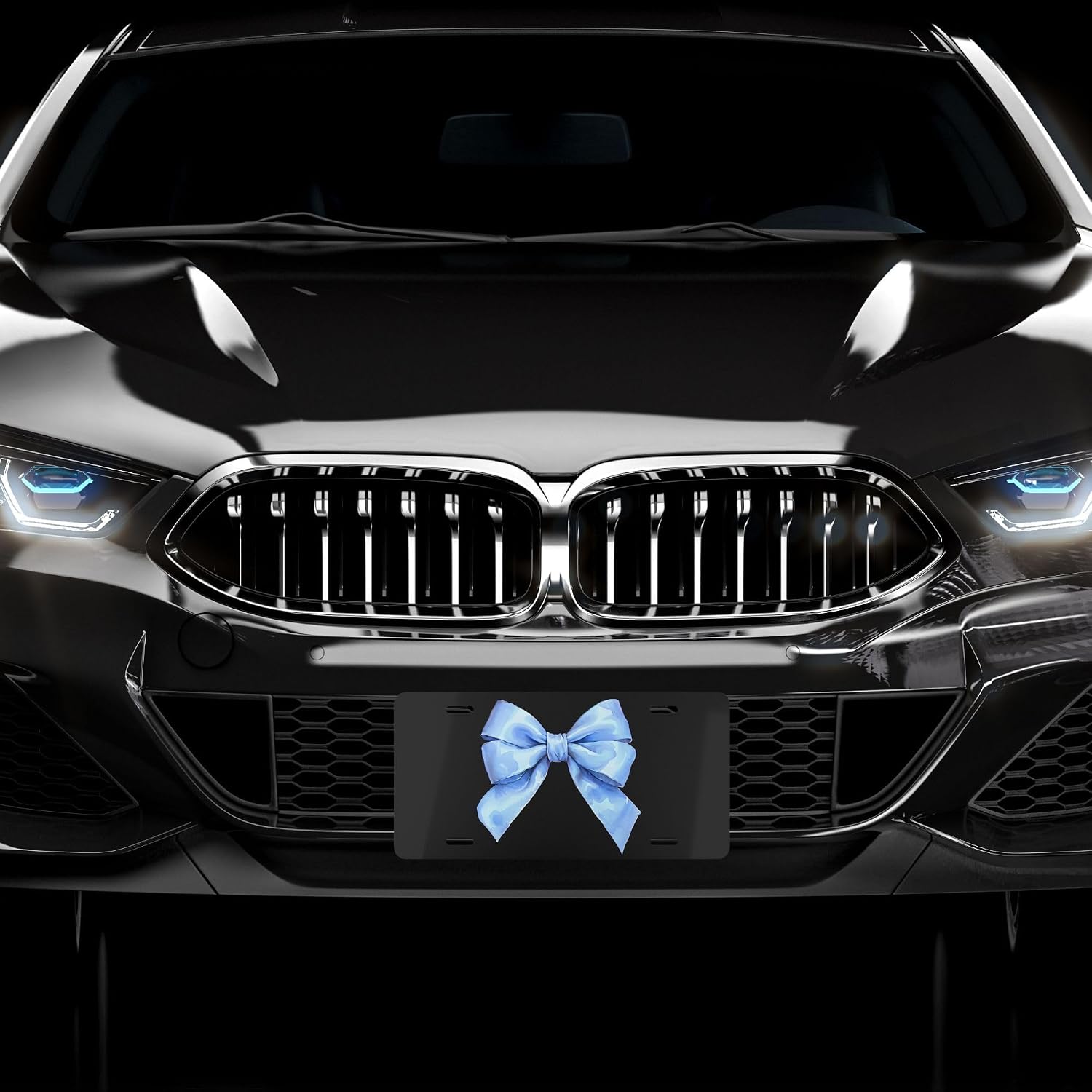 Baby Blue Coquette Bow Front License Plate for Women Teens Bg Blk, Vanity Plate Custom Tag Cute Car Accessories Girly