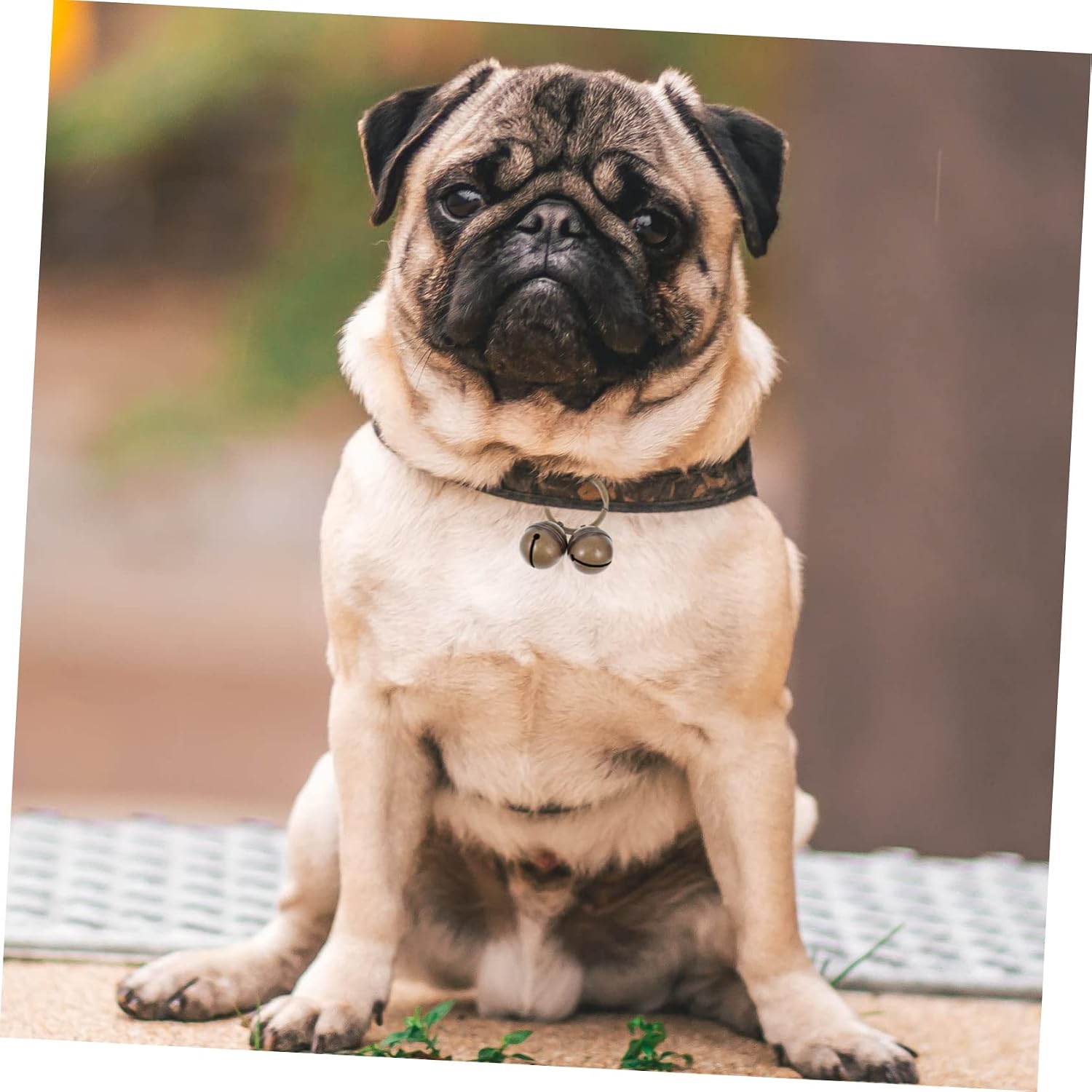 4sets Pet Collar Bell Pendant Decorative Loud Bells for Cats Dogs Copper Keychain Accessories for Pet Collars Home Sweet Sound for Easy Tracking
