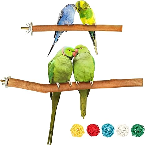 amazon bird cage accessories