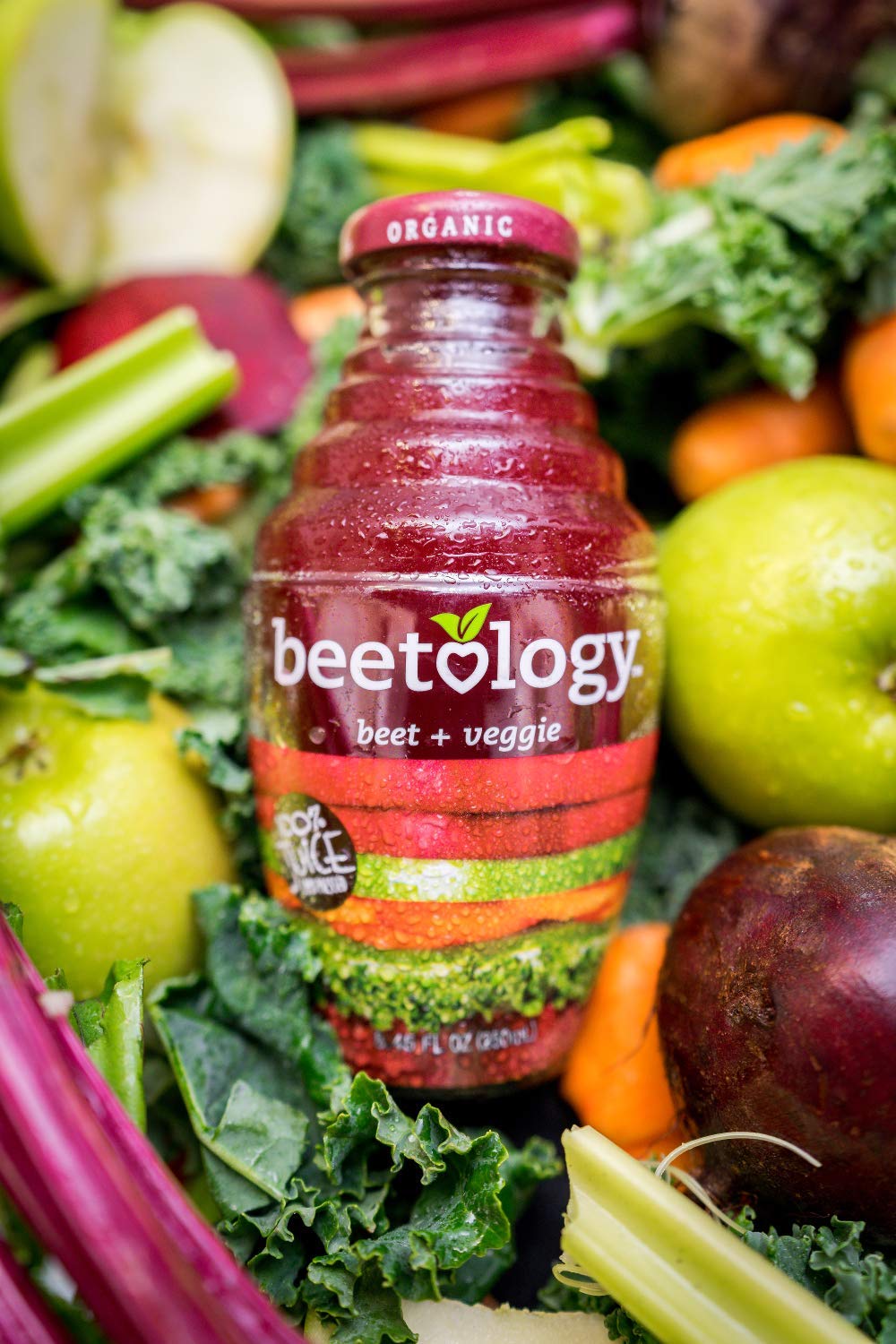 Beetology Beet Plus Veggie Juice, 8.45 Fl Oz (Pack of 6)