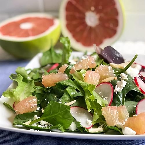 Miniatura 5 de CHUXAY GARDEN Hardy Mini Pummello Pomelo Semillas de árbol 10 semillas de cítricos Maxima Dulces Saludables Regalos de Jardinería