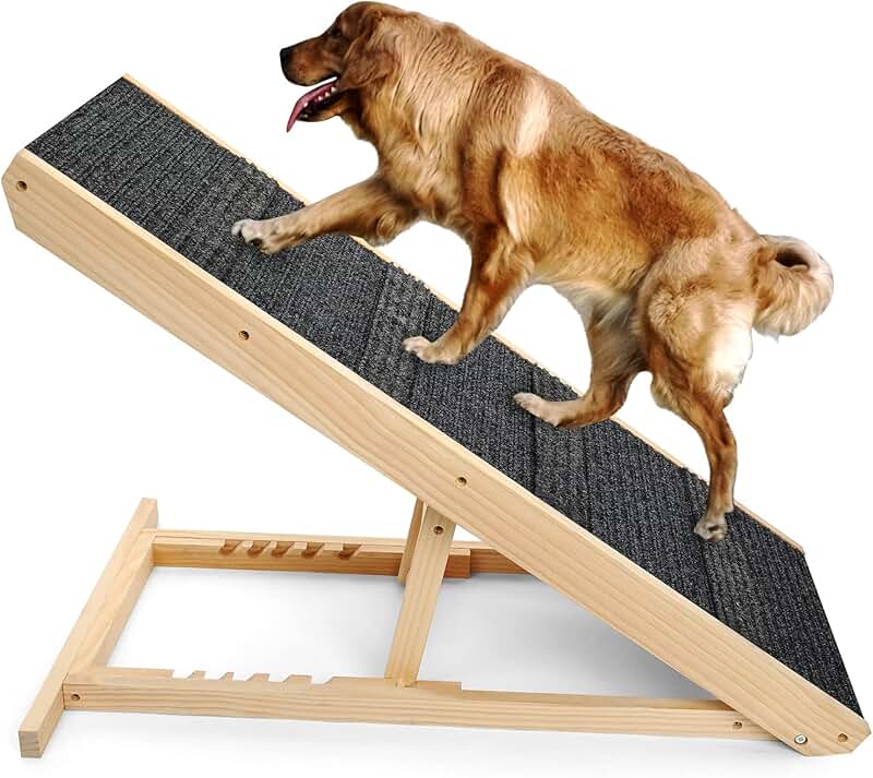 dog ramps for small dogs