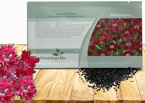 Outsidepride Superbus Red Dianthus Seeds for Planting - 10000 Pcs Easy to Grow & Hardy Perennial Flower Seeds with Colorful & Fragrant Blooms, for Mixed Plantings, Containers, Pollinator Gardens