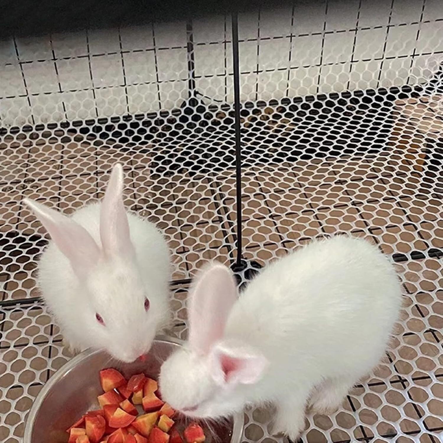 Rabbit Netting (White Lightweight Plastic Mesh Rolls) for Gardens, Animal Barrier Fencing for Outdoor, Indoor and Above Ground Swimming Pools(0.4x5m/1.3x16.4ft)