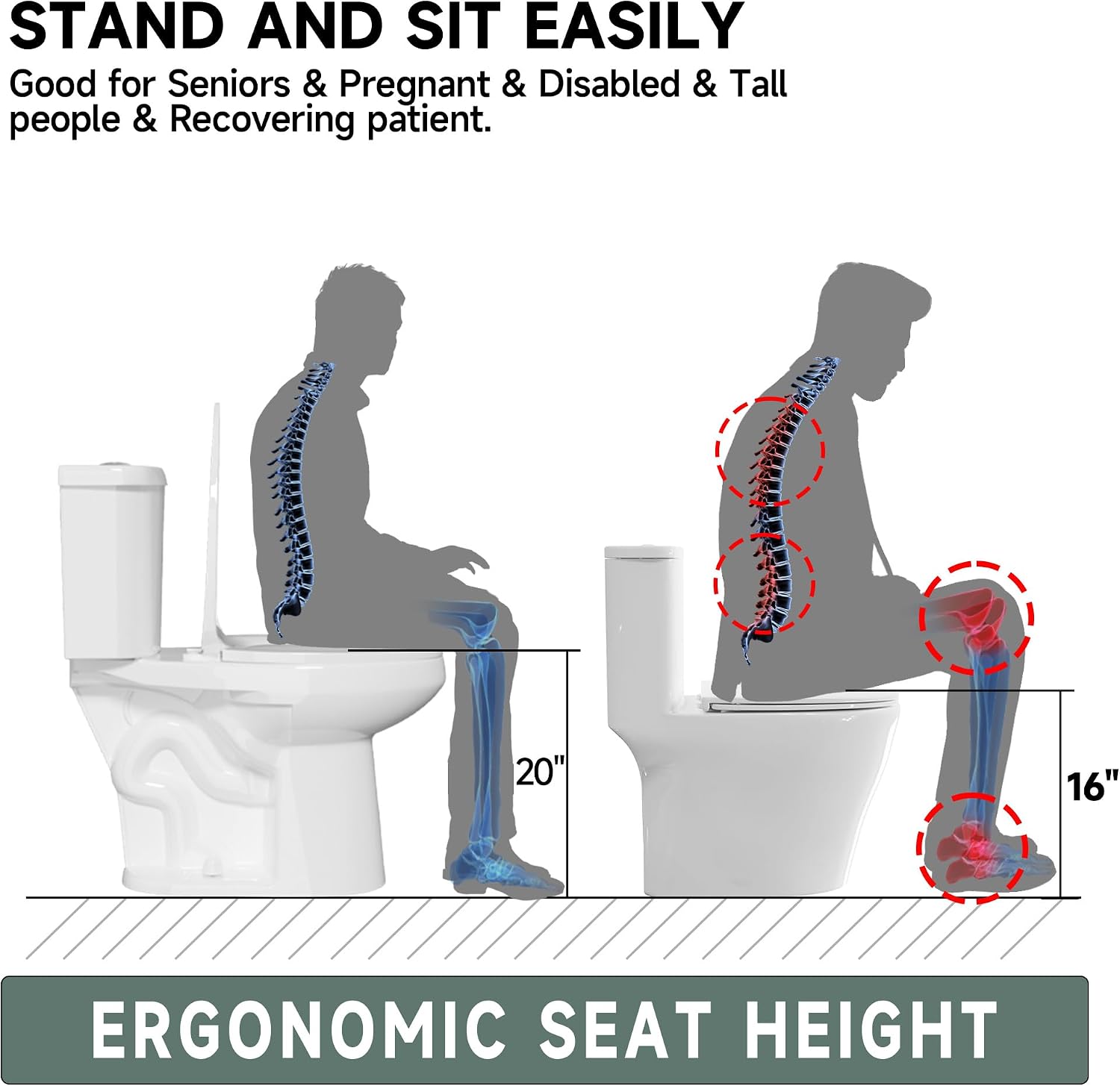 Two Piece Elongated Tall Toilet 19 Inch for Seniors, Tornado Flush High Toilet for Bathroom, Comfortt ADA Seat High 20 Inch, Bowl High 19 Inch, Dual Flush 1.1/1.6 GPF, 12 Inch Rough In, White