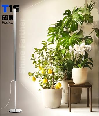 Barrina T1S Vertical Grow Light, 65W Full Spectrum, 5FT-5.6FT Height | Mechanical Timer, High PPFD Grow Lights for Indoor Plants, Standing Side Lighting to Stand, Tall Plants, Foot Switch, Silver
