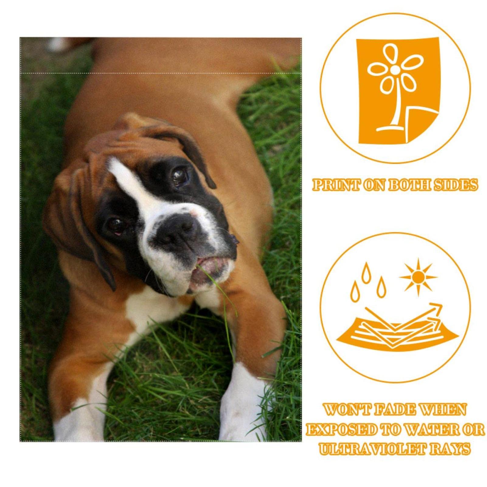 TopPacific Boxer Hund Gartenflagge – 30,5x45,7 Cm, Doppelseitig, Leinen, Für Draußen
