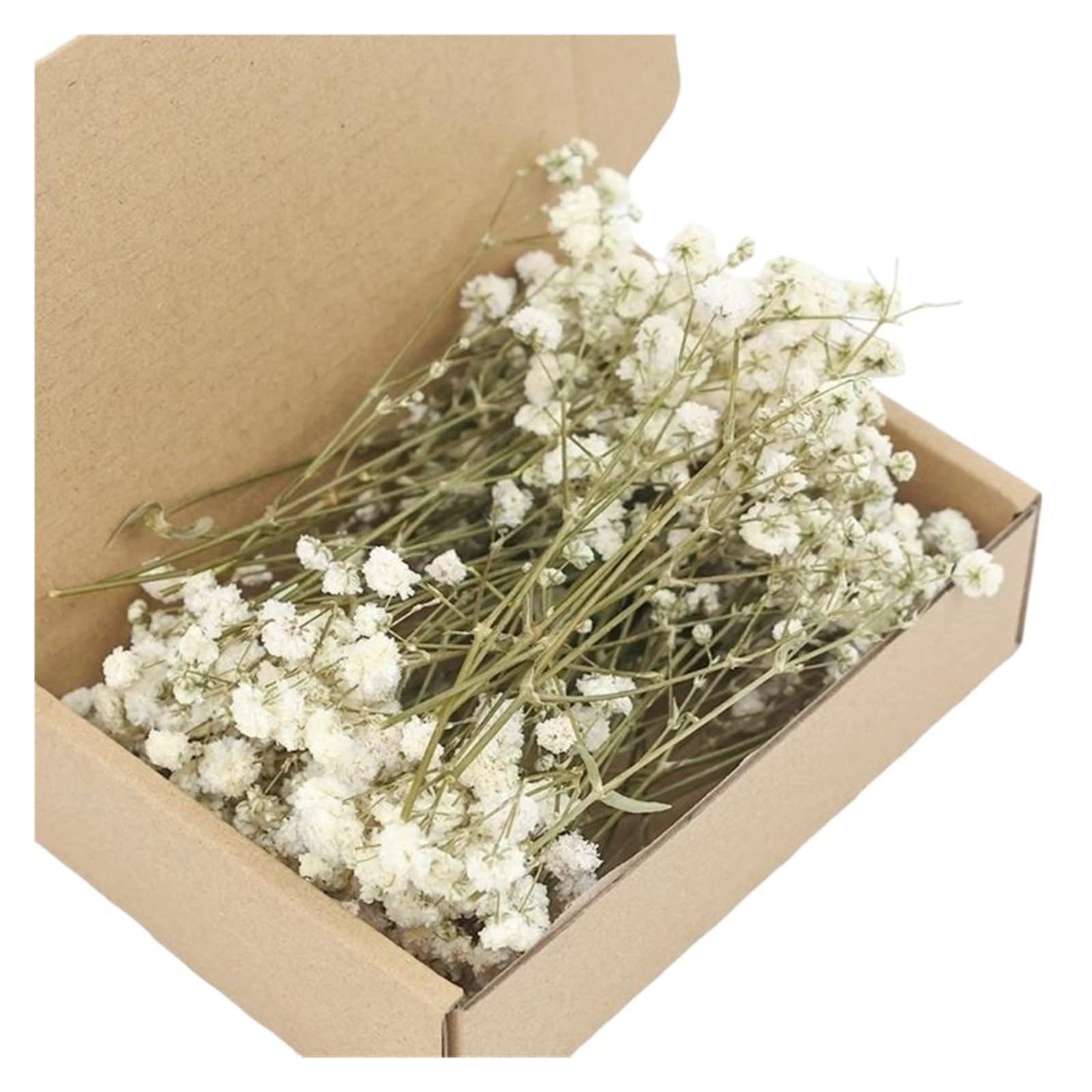 WJIAYAO dried gypsophila flowers Pack of 100 Preserved White Gypsophila Dried Flower for Home Decoration Floral Arrangements And Craft Projects(Color1)