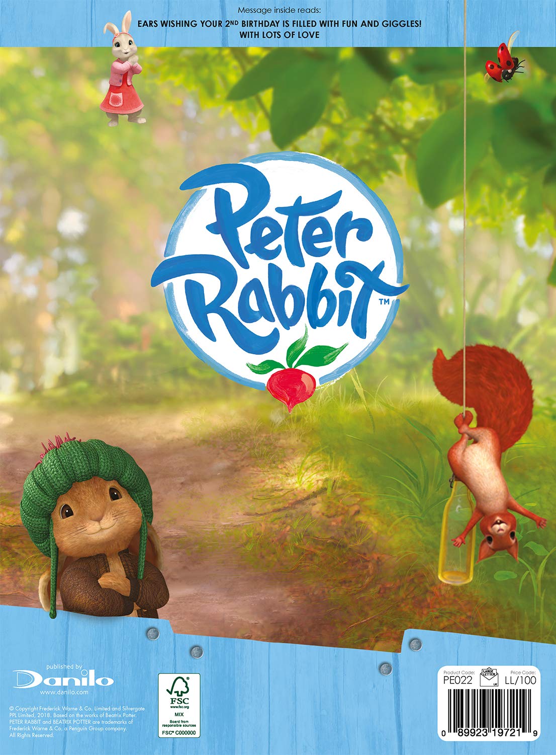 PETER RABBIT PARTY da terra | Decori compleanno bimbo 1 – Peekaboo