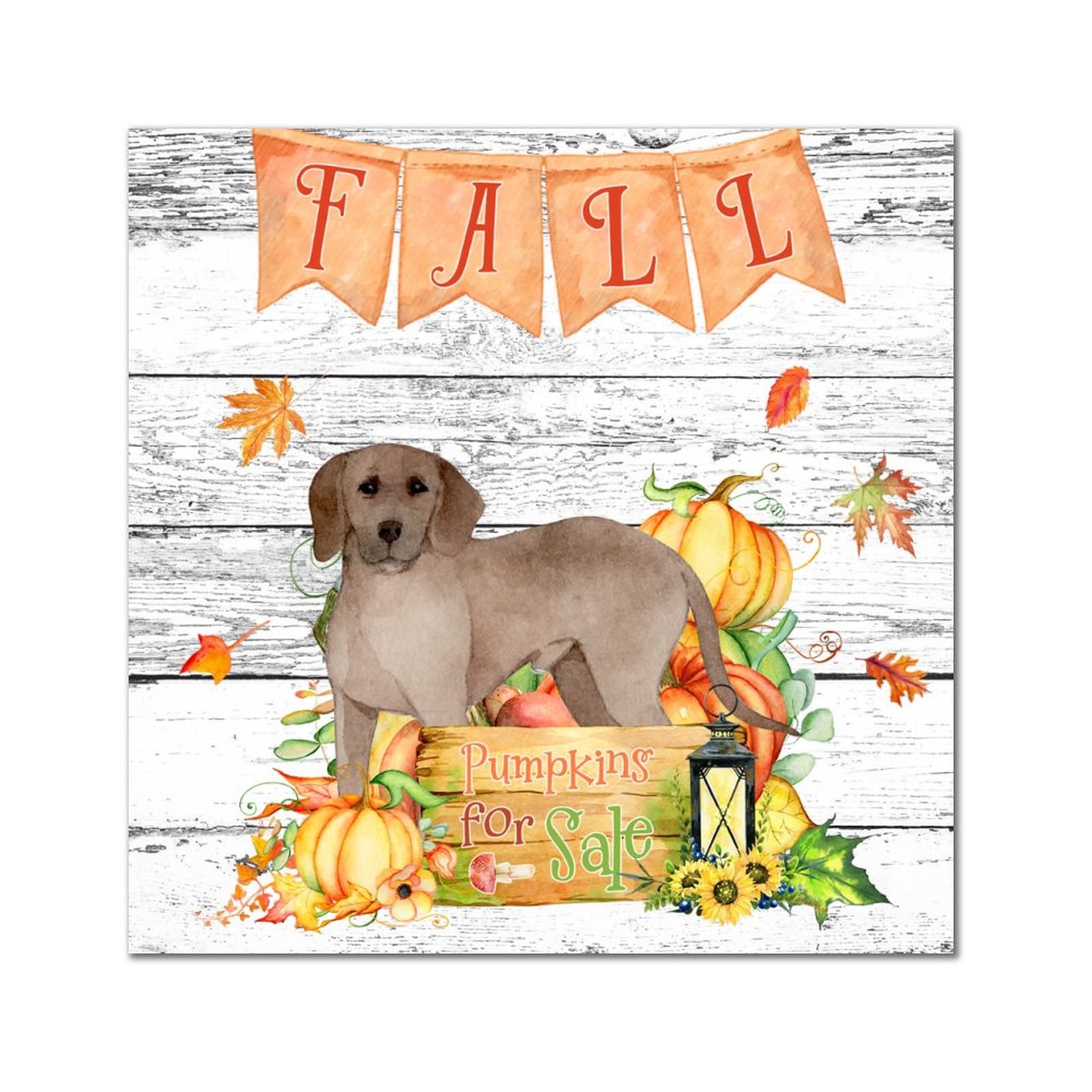 Plaque murale citrouille Shiba Inu chambre cuisine salon table 35 cm