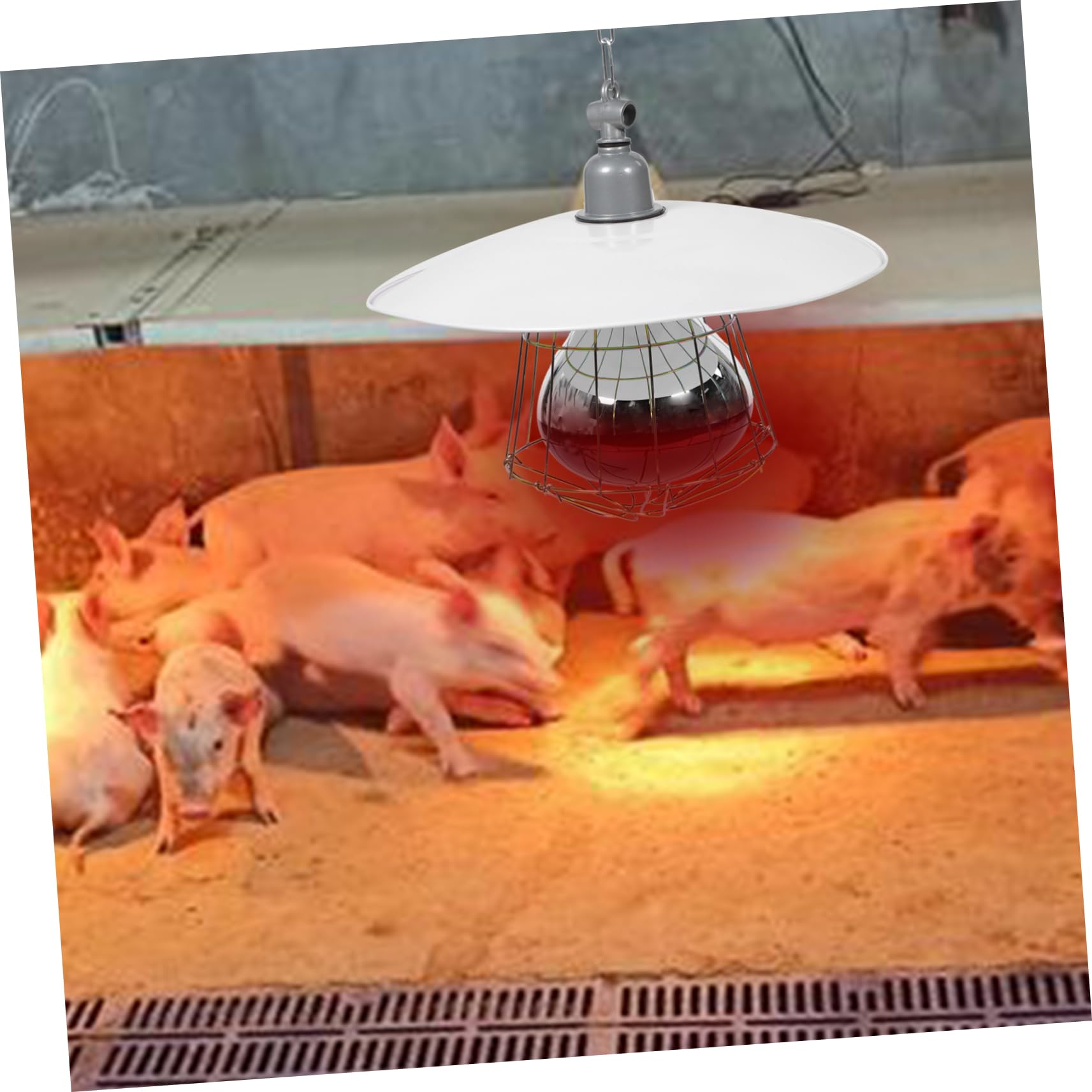 COLLBATH Lampada Riscaldante per Animali da Allevamento Colore Casuale Coprilampada in Metallo e Rete di Protezione, Buona Efficacia Termica e Resistente per Gabbie di Piccoli Suini