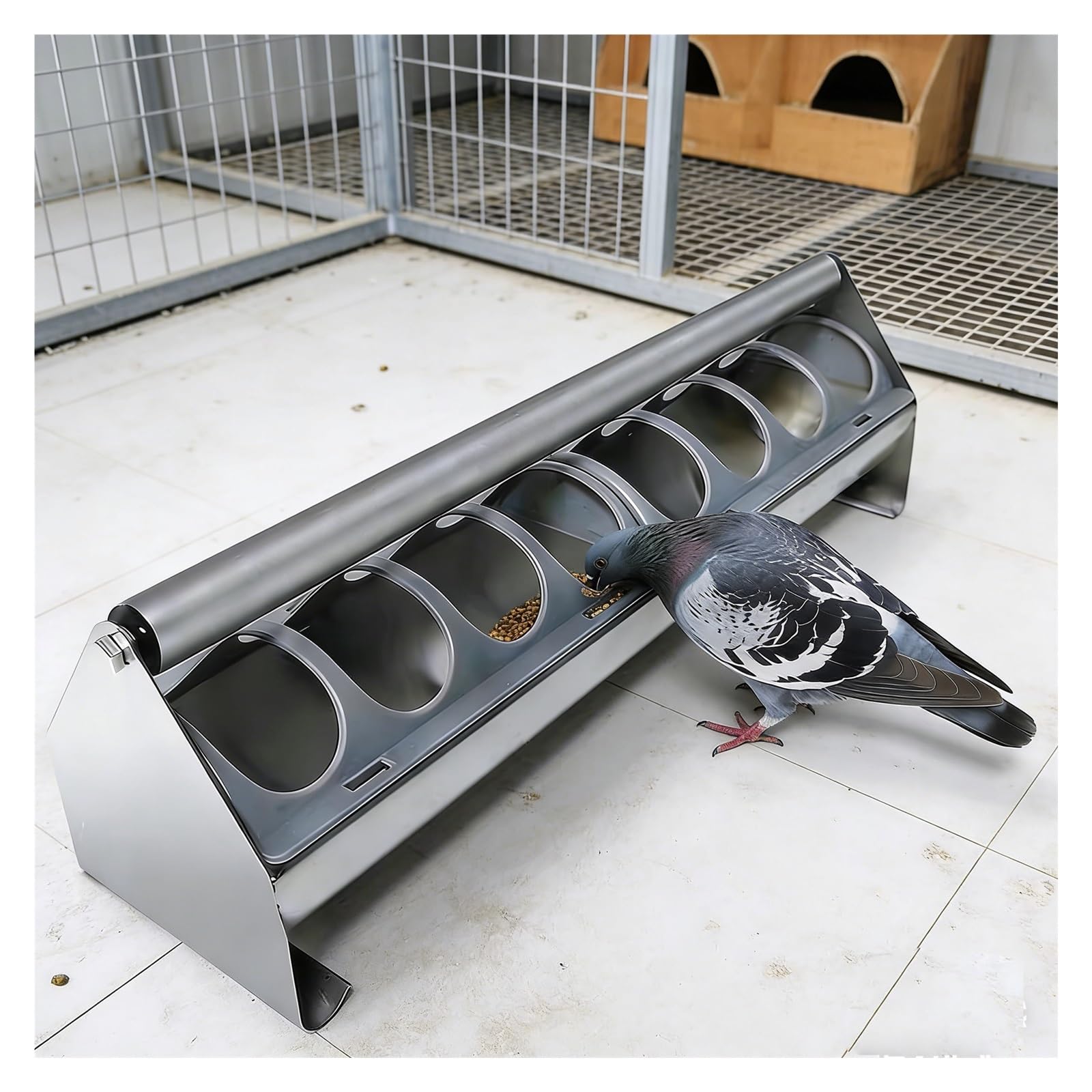 Dispensador de alimentos para aves de corral de acero inoxidable, herramienta de alimentación para pollo, pato, pájaro, ganso