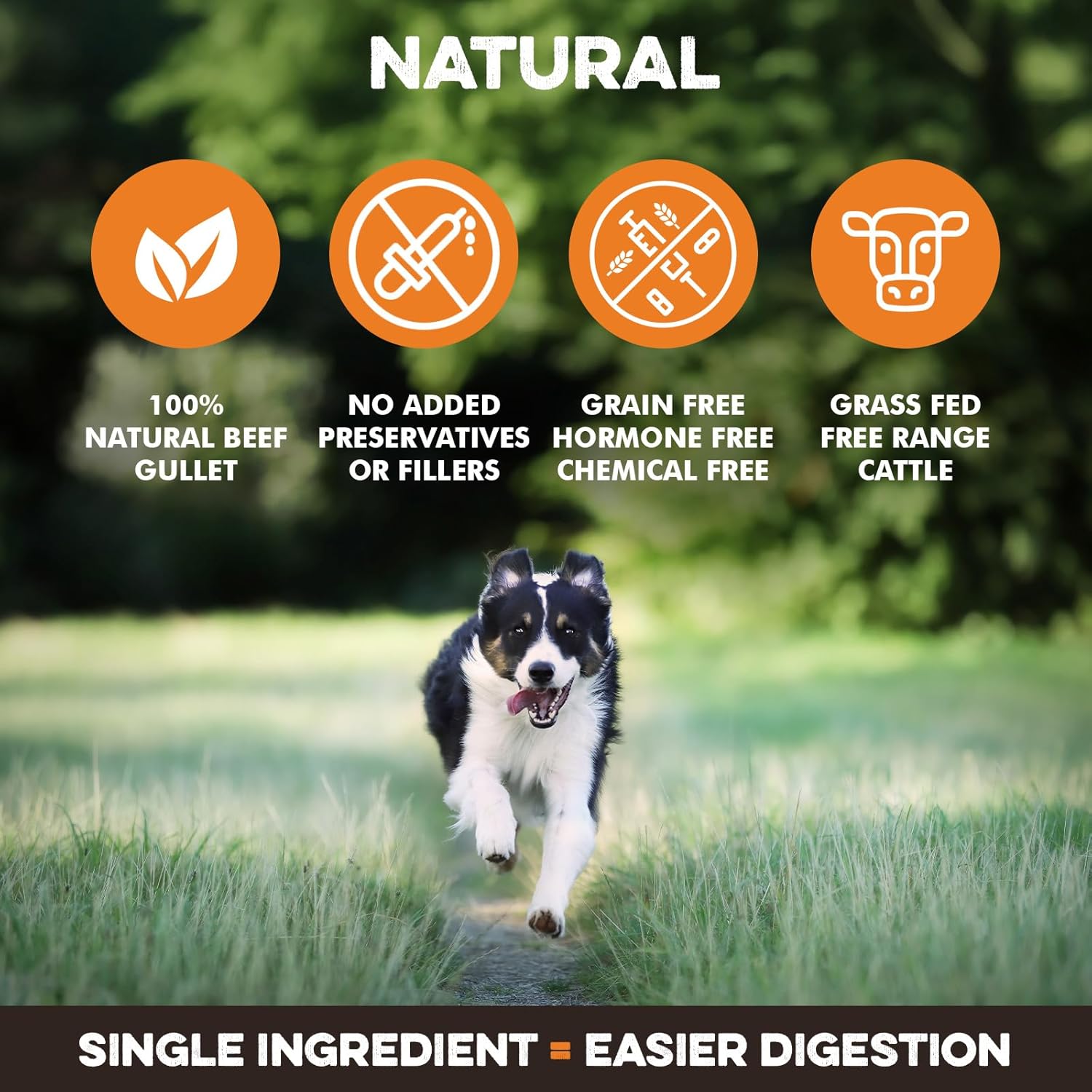 All Natural Single Ingredient Beef Esophagus Chews for Dogs - Healthy Round Gullet Sticks With Naturally Occurring Glucosamine & Chondroitin for Joint Function - Great for Any Dog Size (30 Count)
