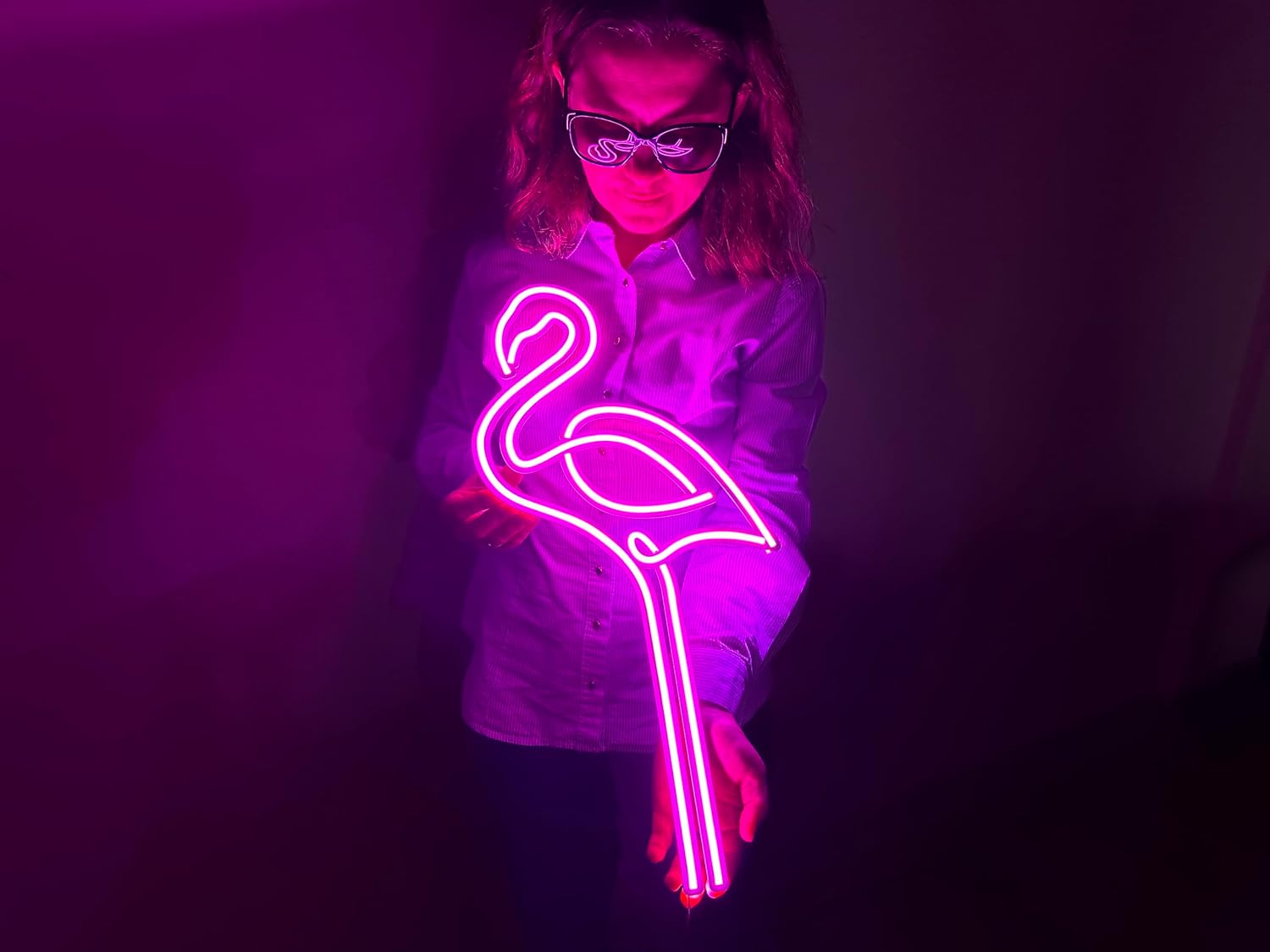Flamingo Wall Art, Neon Metal Wall Art, Flamingo Bird Wall Sign, Birds Wall Decor, LED Light Decor, Home Office Hotel Cafe Bar Pub Wall Decor (Without Remote Control)