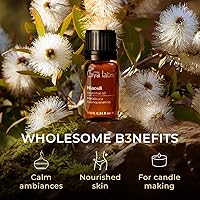 Vista 80 de Gya Labs - Aceite esencial de vainilla oleorresina para aliviar el estrés, relajación, sueño, aceite de vainilla francesa dulce para mayor