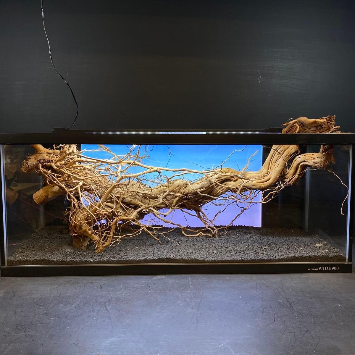 MTW-6352蔦流木1点物 アーチ流木 90cm以上水槽用流木