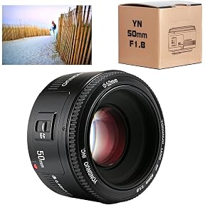 Canon EF 50MM F/1.8 STM Lens for Canon DSLR Cameras : Amazon.in