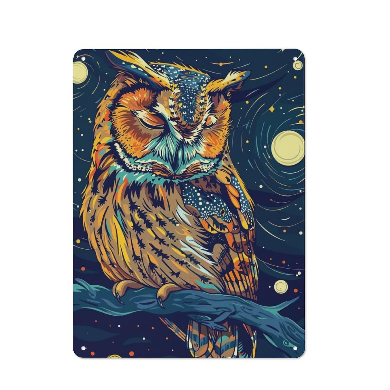 Junmoney Colorful Owl In Night Sky Printed Metal Sign 40X30cm For Café Or Restaurant, New-Space Wall Decor For Café Owners And Decorators
