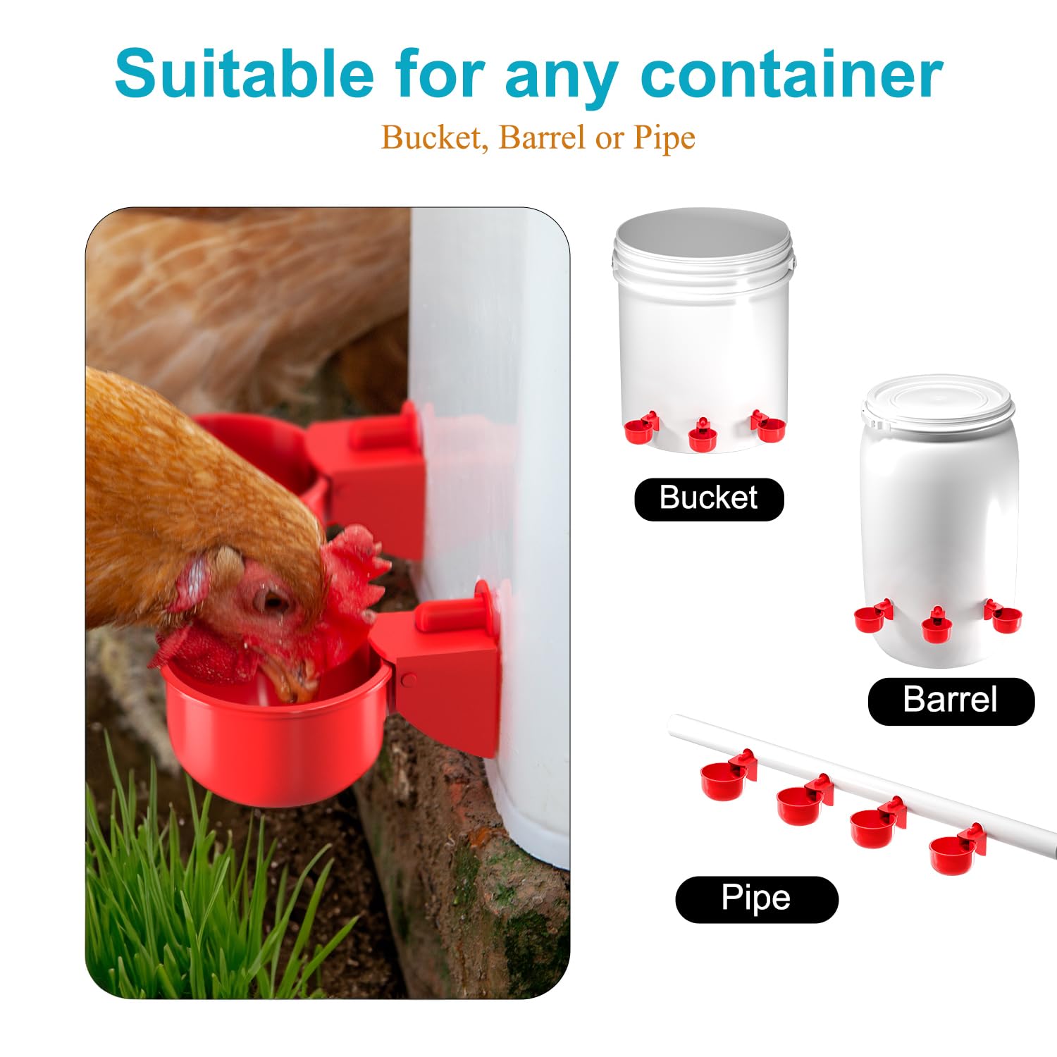 Diy Rain Proof Chicken Feedernull