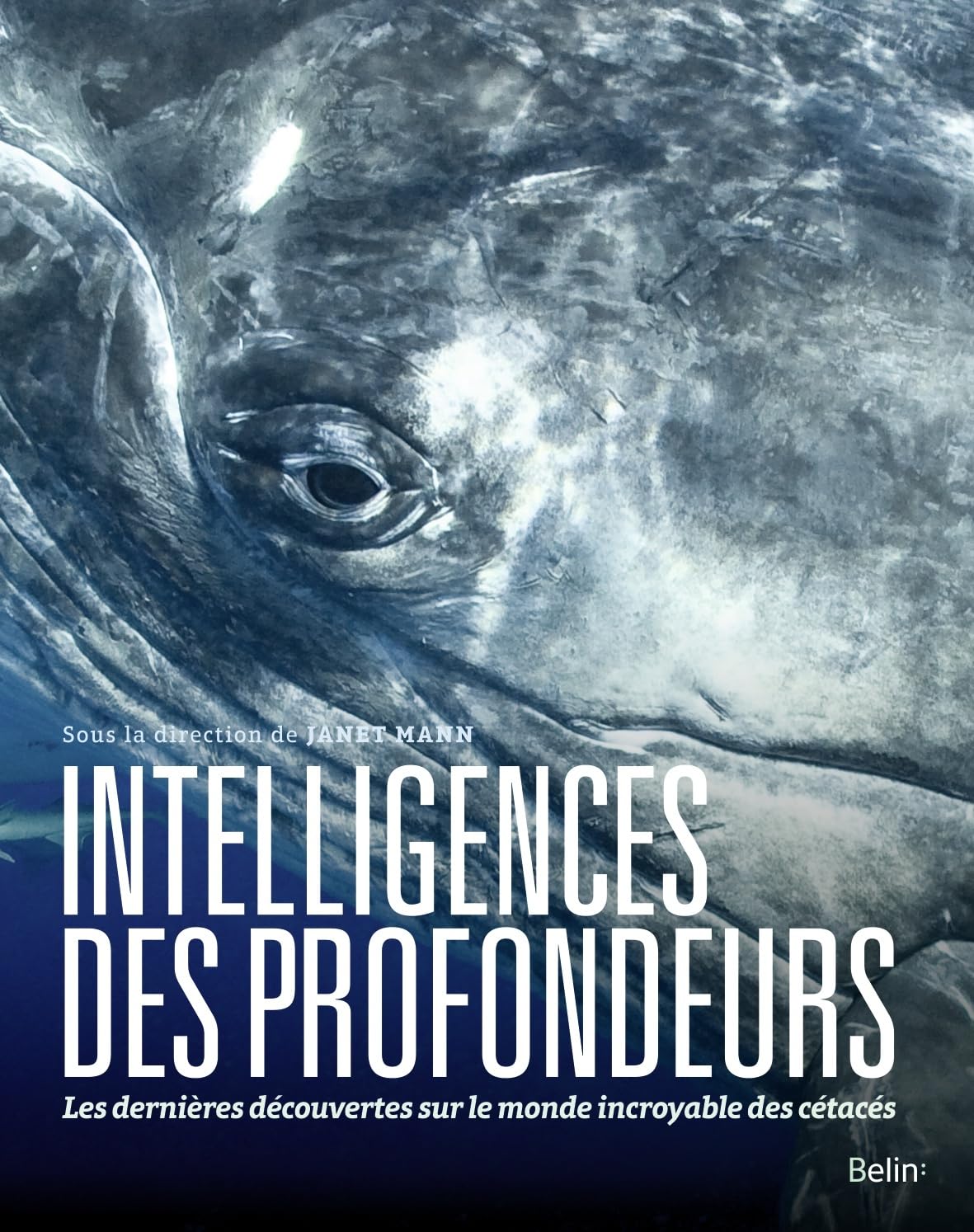 Intelligences des profondeurs: Les dernières découvertes sur le monde incroyable des cétacés