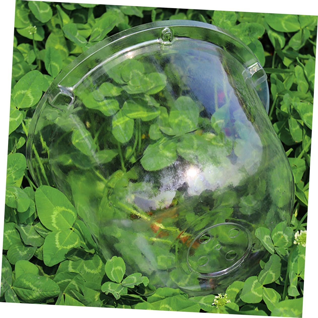 YARNOW Lot De 6 Cloches en Plastique pour Plantes – D'humidité pour – Plante De Jardin avec Matériau Respirant – Plante –