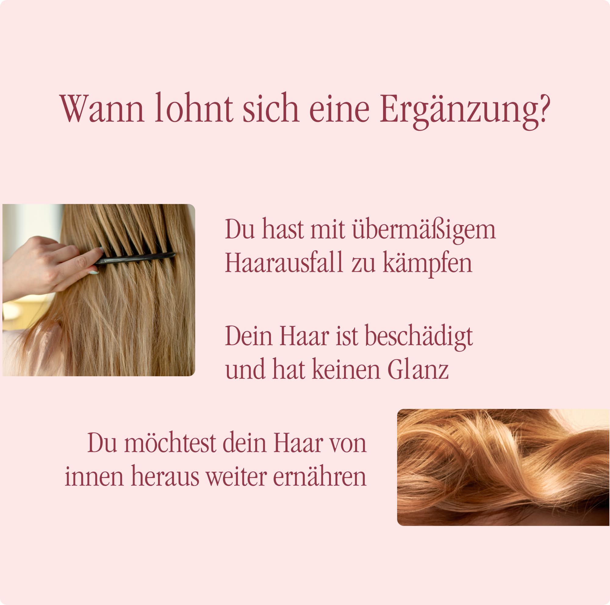 Haar Vitamine mit Keratin & MSM - Zink & Aminosäuren - 30 Sachets | Für gesunde Haare von innen • 10 Pflanzenextrakte • Mit Aminosäuren & Silizium • 30 Sachets