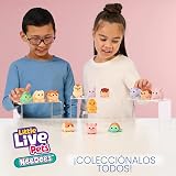 Ver la foto 6