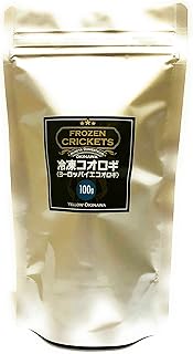 コオロギ（餌昆虫）
