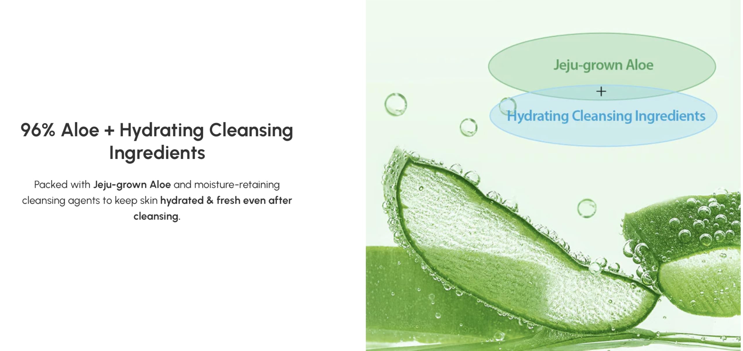 HOLIKAHOLIKA Aloe Clean Water Formula 96% Cleansing Foam (150 ml), 150 ml (Pack of 1) - Image 3