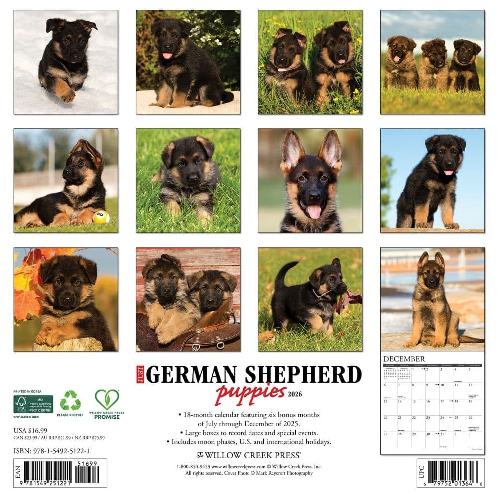 Willow Creek Press, Just German Shepherd Puppies - Calendario de pared 2026, 12 x 12 pulgadas, calendario de 18 meses con encuadernación grapada