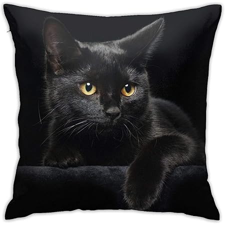 cute black pillows