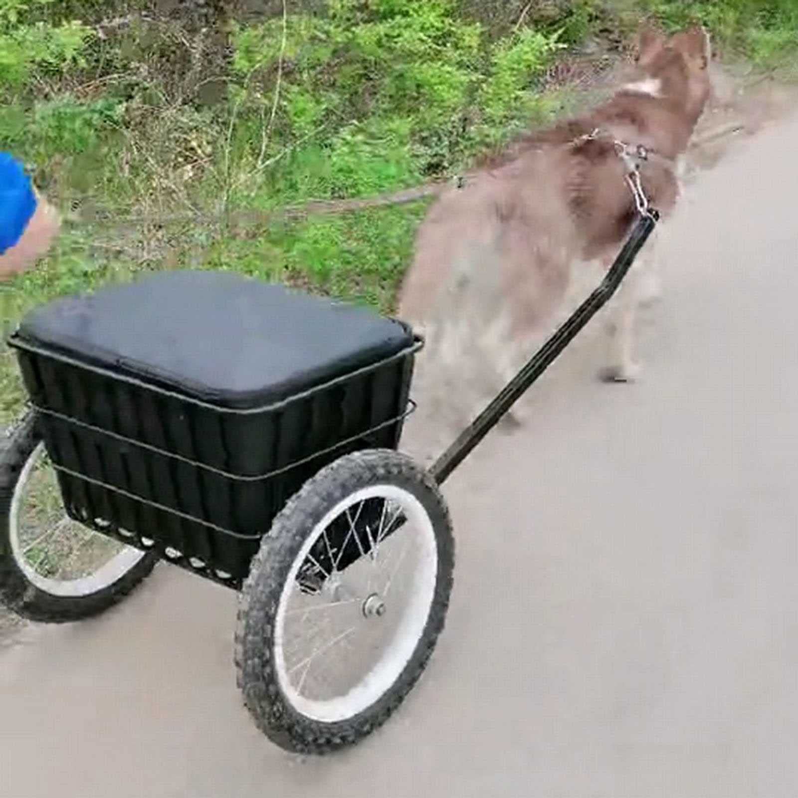 Amazon.co.jp: 商品を引っ張る犬の二輪車、商品を引っ張るための大型