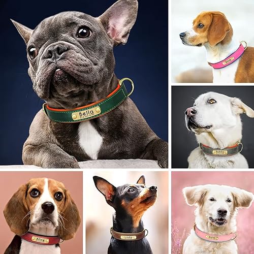 Miniatura 5 de Beirui Collar de perro de cuero acolchado suave personalizado collares de perro resistentes con herrajes de metal duraderos elegante collar de perro