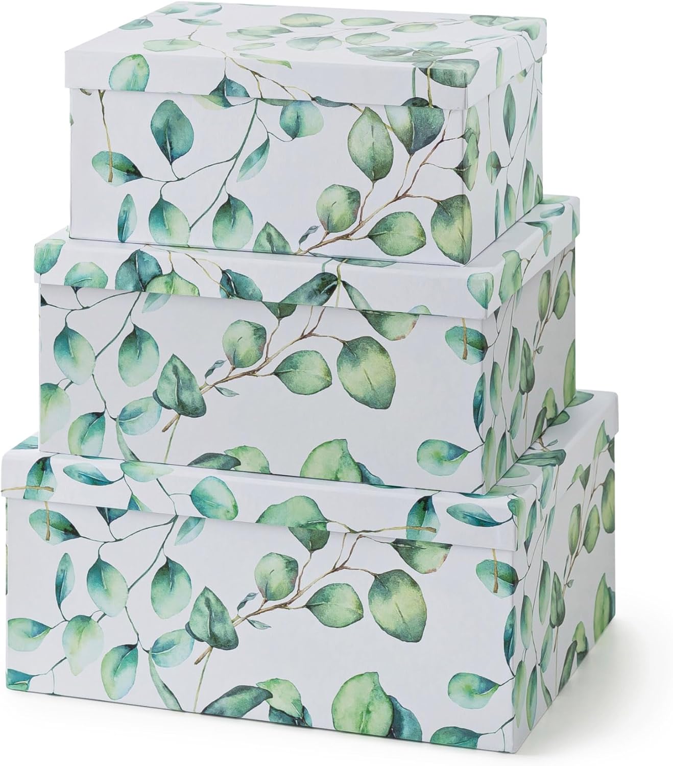 Soul & Lane Decorative Cardboard Storage Boxes with Lids for Home Decor and Organization, Set of 3 Large Keepsake Boxes for Memories & Gifts, Nesting Floral Photo Storage Containers, Eucalyptus Leaves