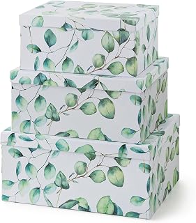 Soul & Lane Decorative Cardboard Storage Boxes with Lids for Home Decor and Organization, Set of 3 Large Keepsake Boxes for Memories & Gifts, Nesting Floral Photo Storage Containers, Eucalyptus Leaves
