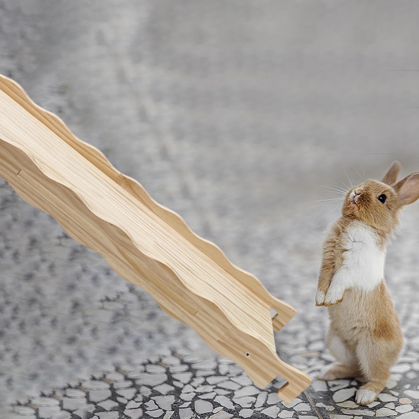 Holzleiter für Hamster Holzkäfig Hängebrücke Rampe Kleintierleiter Aus Natürlichem Material Als Beschäftigung für Mäuse Zwerghamster Gerbils in Wohnun, C