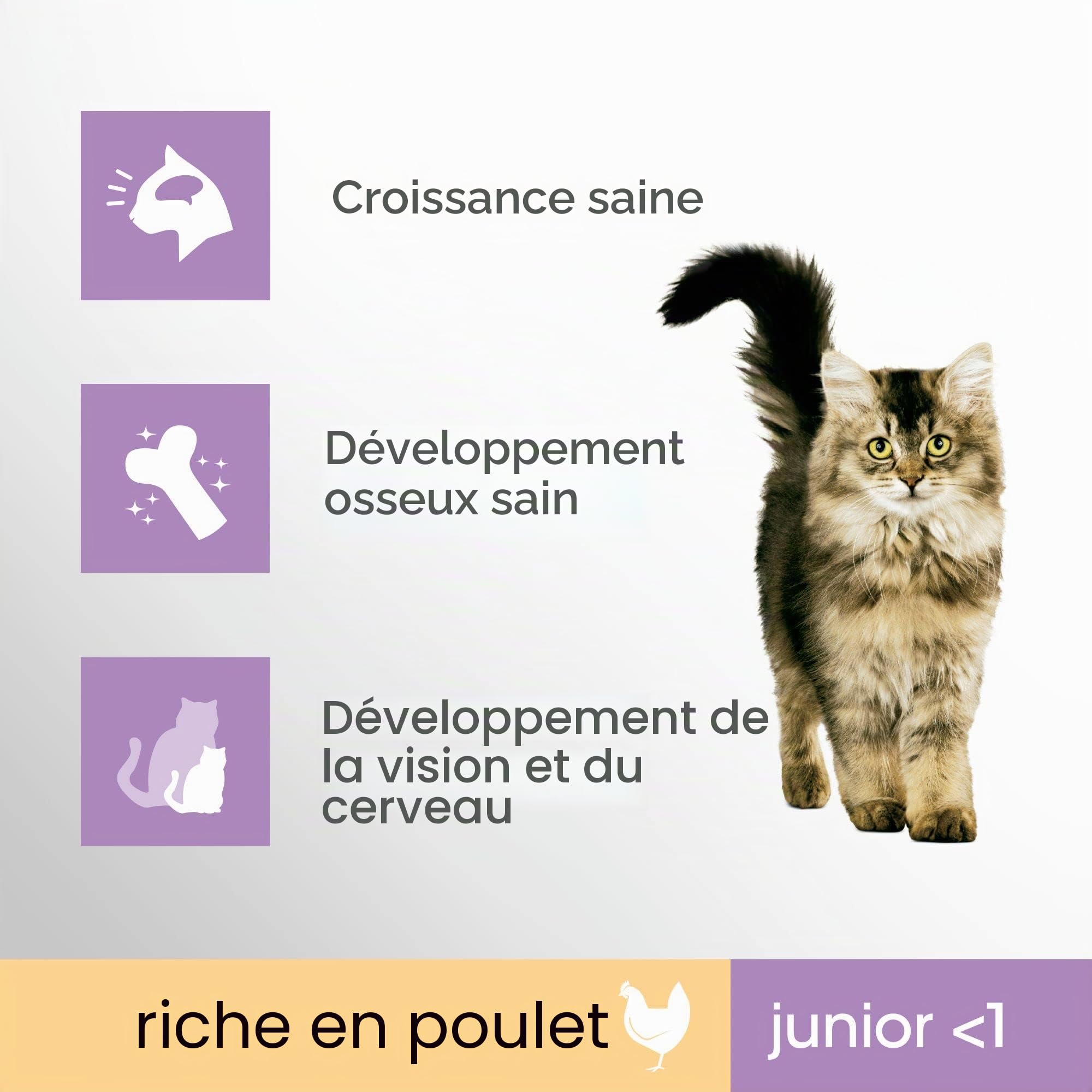 Perfect Fit Junior <1 - Nourriture sèche pour jeunes chats de moins de 1 an - Poulet - Soutient la vitalité - 7kg