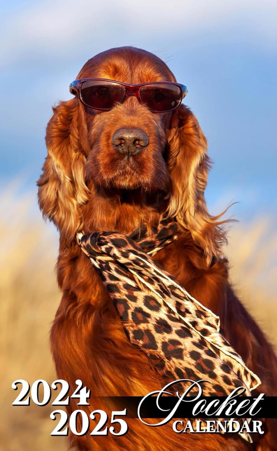 Pocket Calendar 20242025 2 Years Planner for Purse Small