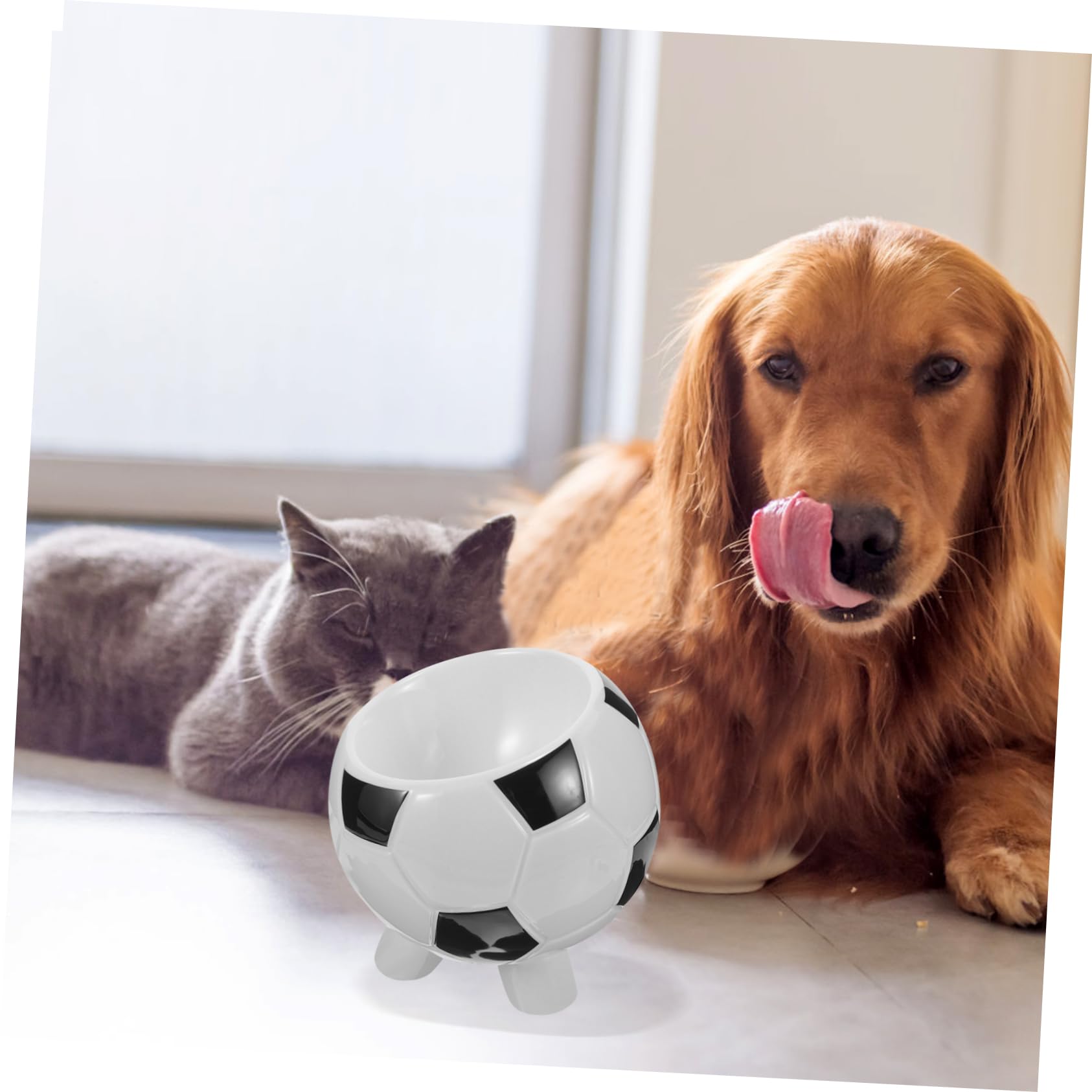 Ciotola per Animali a Tema Calcio in Ceramica per Cane e Gatto | Base Ampia, Finitura Liscia, Facile da Lavare, Adatta a Pappa e Acqua per Cuccioli