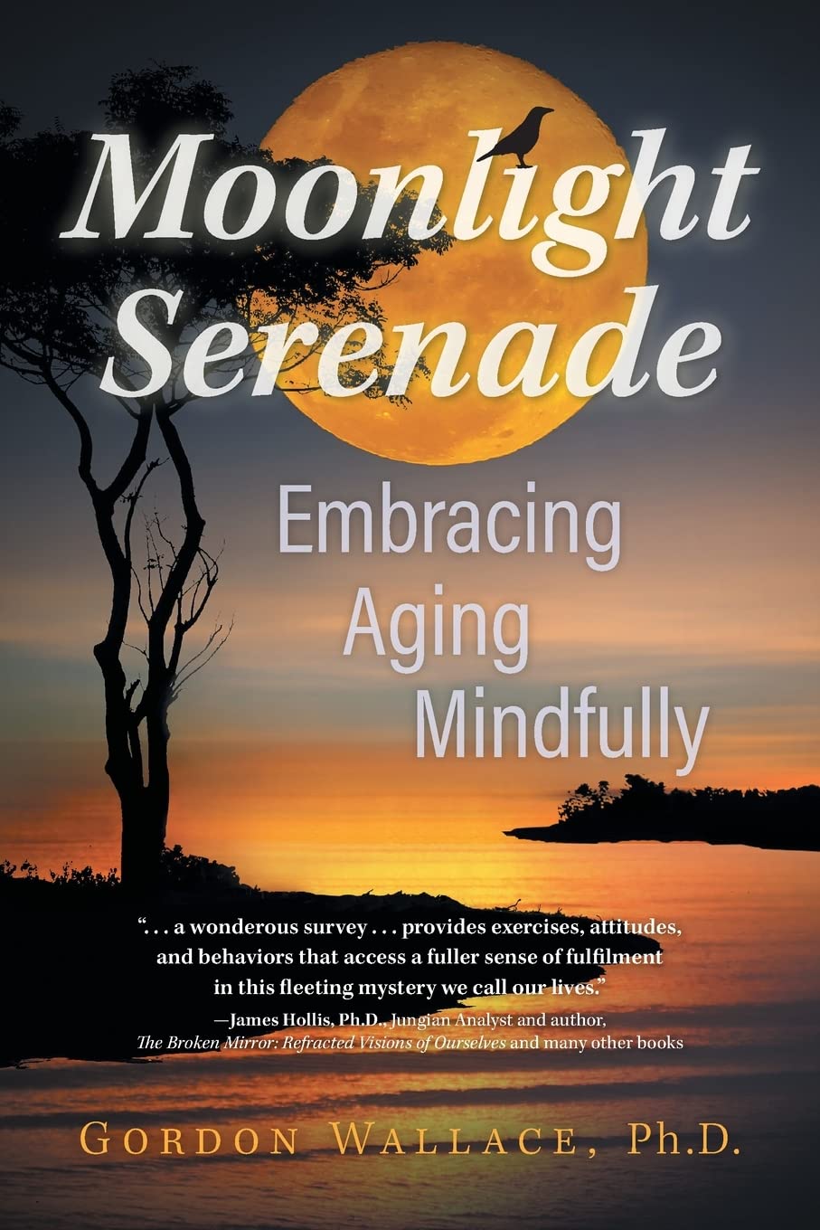 Moonlight Serenade: Embracing Aging Mindfully