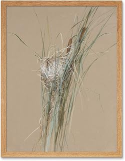 Bridges Bird's Nest Cattails Watercolour Drawing Art Print Framed Poster Wall Decor 12x16 inch