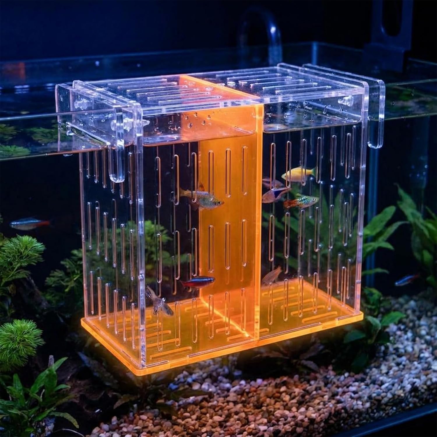 Large Acrylic Breeder Box for Aquarium & Fish Tank, Isolation Breeding Box with Extendable Handle Net - Acclimation Hatchery for Baby Fish, Shrimp, Betta, Guppy (9.45x5.71x8.27 in, Orange)