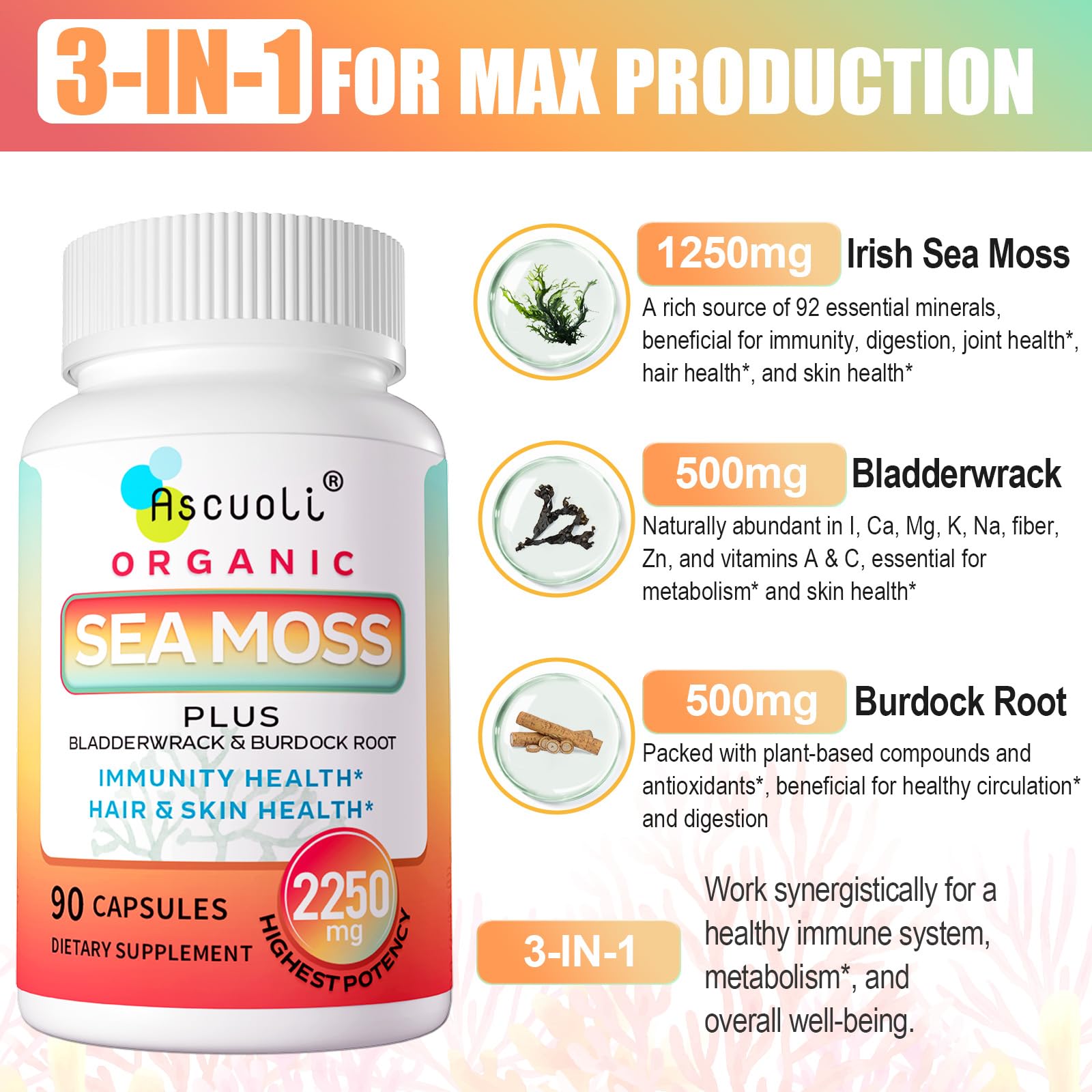 Capsules Sea Moss (Mousse De Mer) 500mg - 60 Gélules Végétariennes - 100% Naturel - Fabriqué En France