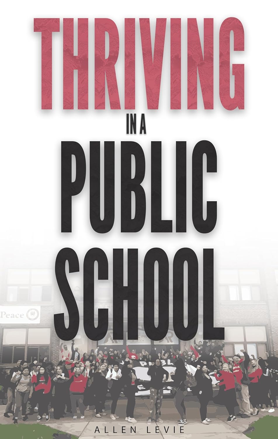Thriving In A Public School      Kindle Edition