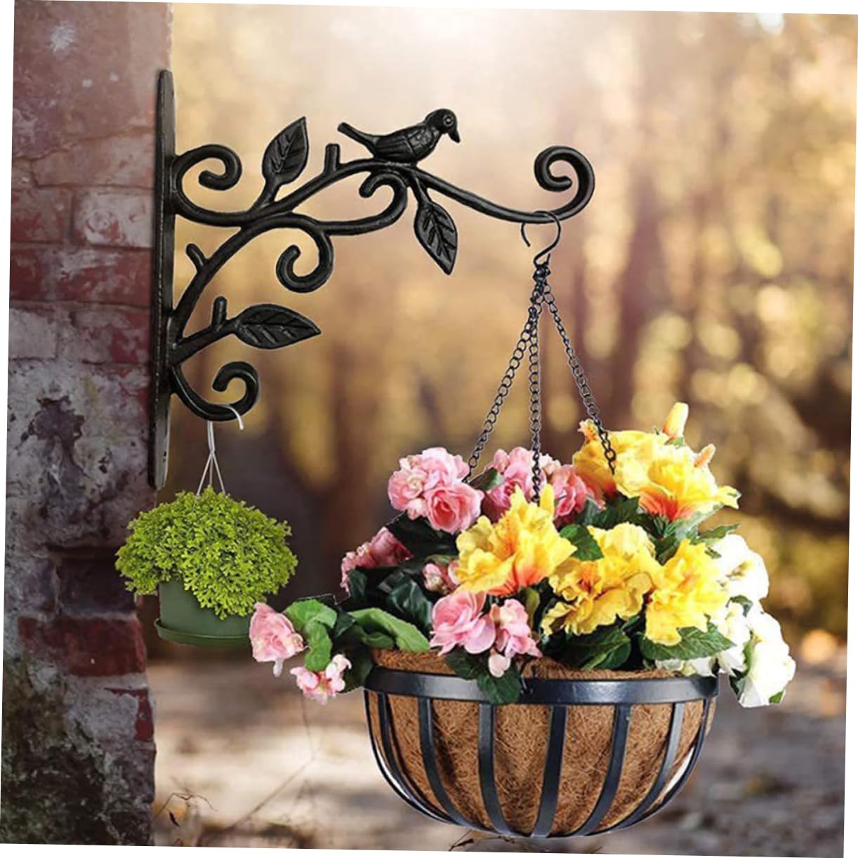 Toyvian Supporto Per Fioriera Sospeso Gancio Per Cestini Di Fiori Da Parete Supporto Per Piante Gancio Per Mangiatoia Per Uccelli Cesti Installazione Facile Per Balconi e Recinzioni Da Gia