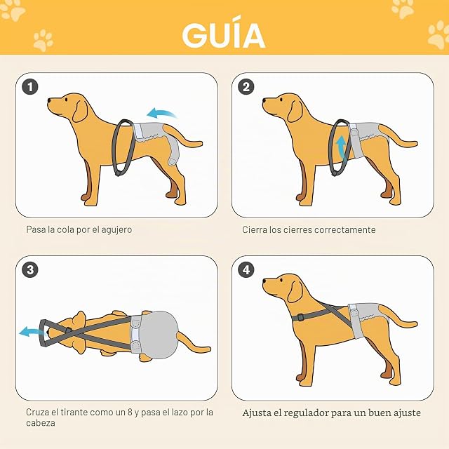 Foto 6 de 7 de Avont 3 Unidades de Pañales para Perro Hembra