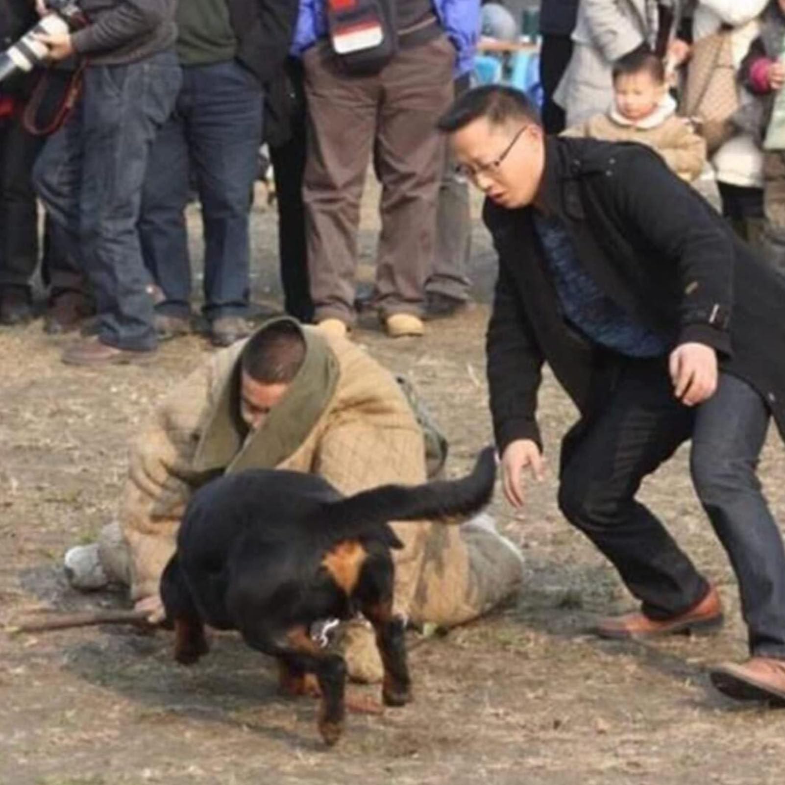 Mono antimordeduras, traje de adiestramiento canino, ropa protectora para adiestramiento canino - Traje de adiestramiento canino policía para perros medianos y grandes.,L