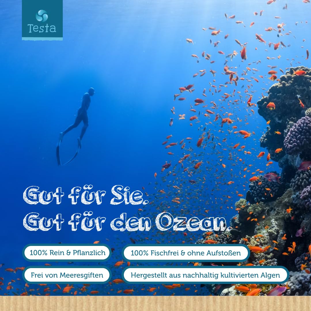 Omega 3 Vegan Algenöl – Hochdosiert 300mg DHA + 150mg EPA pro Kapsel - Nur 1 Kapsel pro Tag - Pflanzliches Omega 3 aus Algenöl - 60 Kapseln