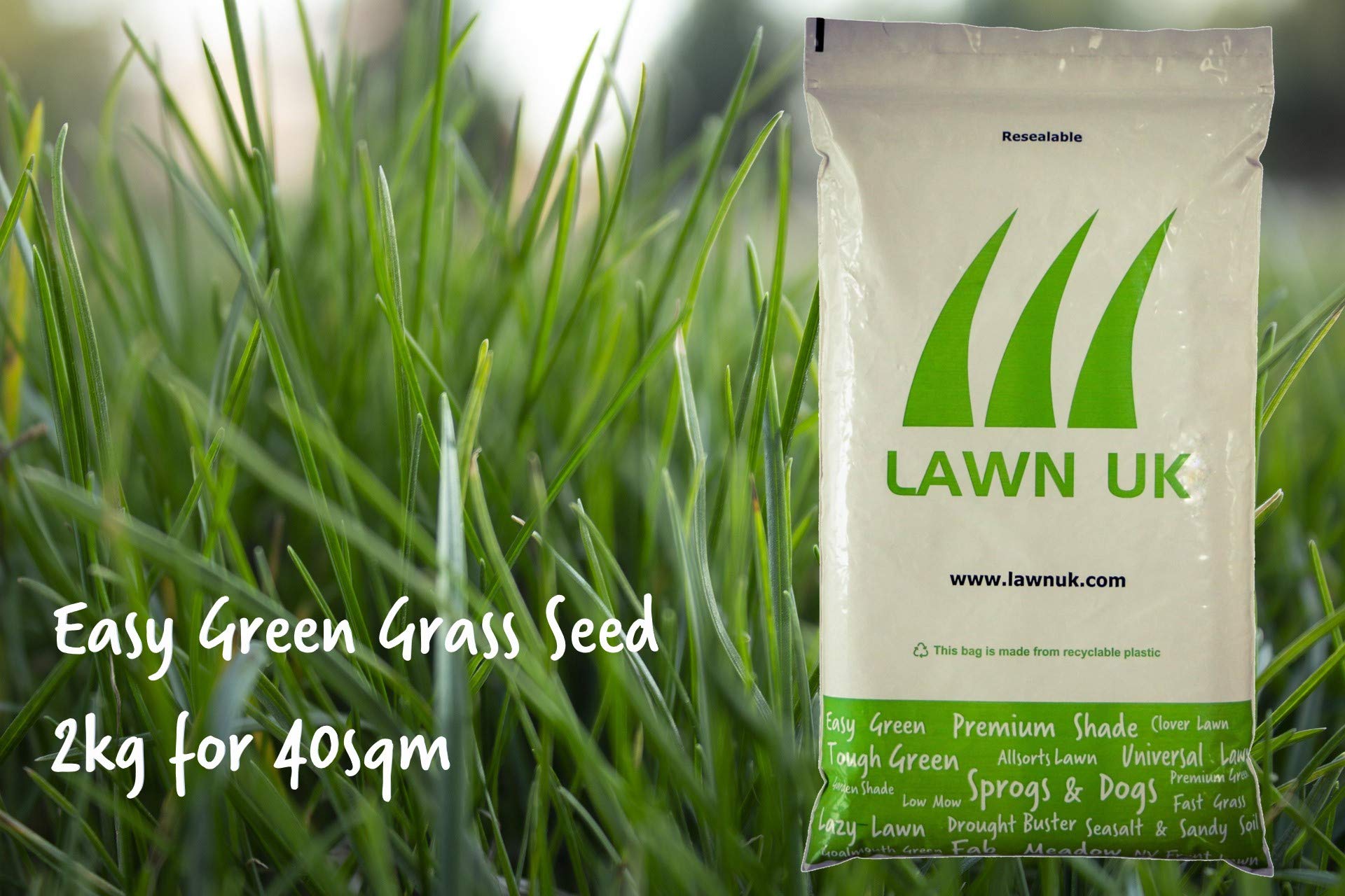 Easy Green Lawn UK Grass Seed - 1KG - 40sqm Coverage - Super Easy to Grow - Luscious Green