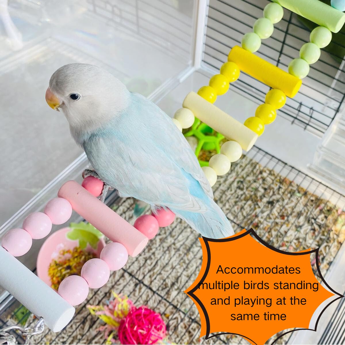 3 juguetes para pájaros arcoíris, juguetes de búsqueda de pájaros, periquitos, juguete para masticar, juguete colgante, jaula de pájaros, accesorios de jaula para pájaros, escalera de escalada para